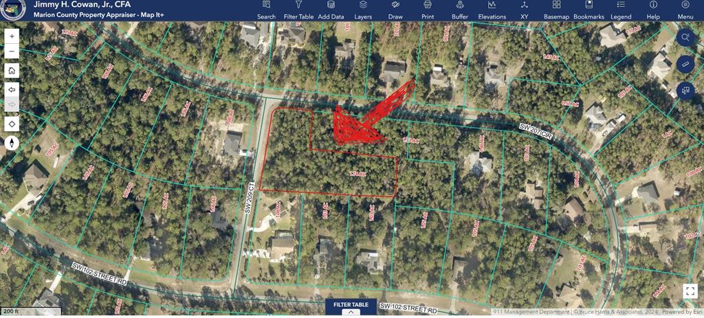 This is a satellite map showing a highlighted residential property lot in a wooded area — Lot 001 SW 207TH CIRCLE, DUNNELLON, FL