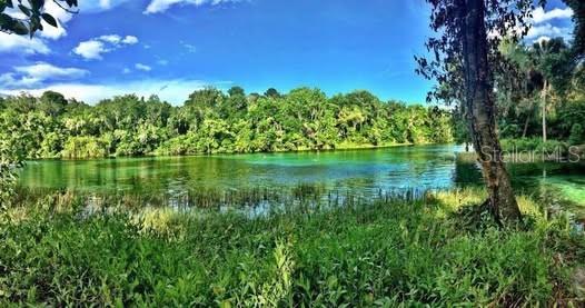 A view of a clear, turquoise river surrounded by lush green trees and vegetation — Lot 001 SW 207TH CIRCLE, DUNNELLON, FL