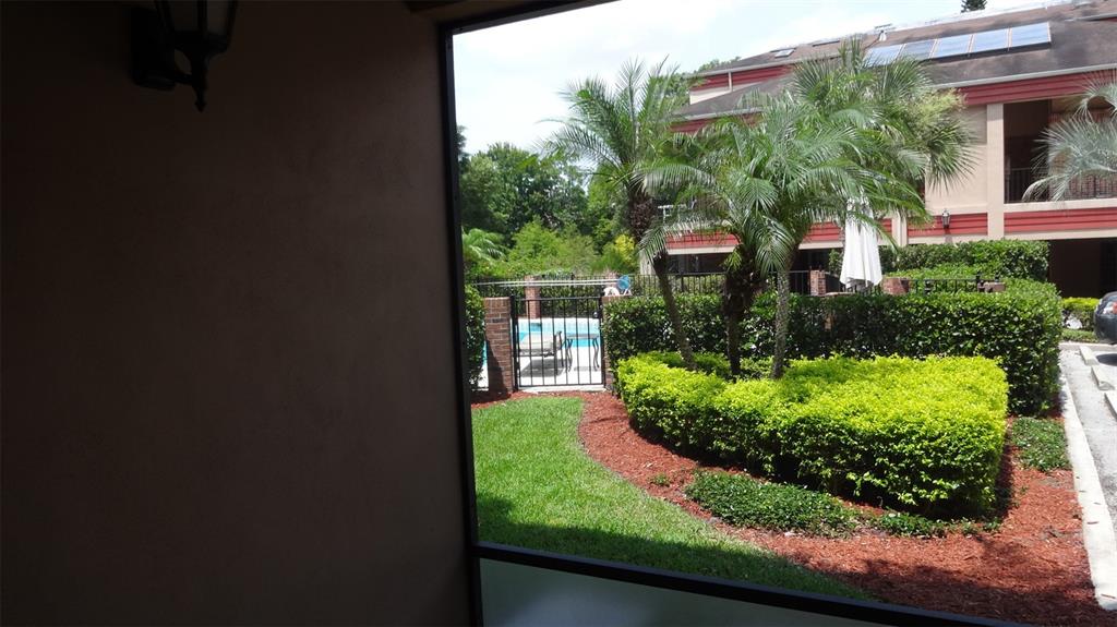 A view from a screened-in porch looking out toward a swimming pool and landscaping — 1144 DELANEY AVENUE UNIT 1144, ORLANDO, FL