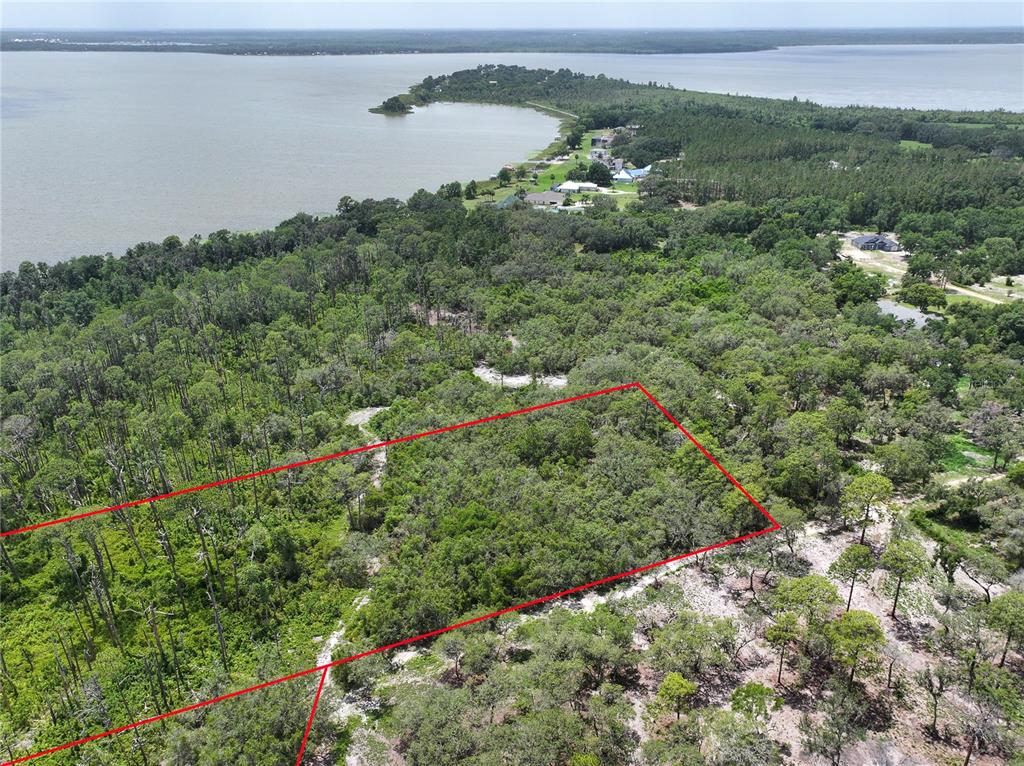 An aerial view shows a wooded plot of land outlined in red near a lake — 0 TREASURE ISLAND ROAD, LEESBURG, FL