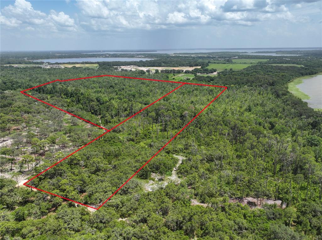 An aerial view shows a large, wooded plot of land outlined in red — 0 TREASURE ISLAND ROAD, LEESBURG, FL