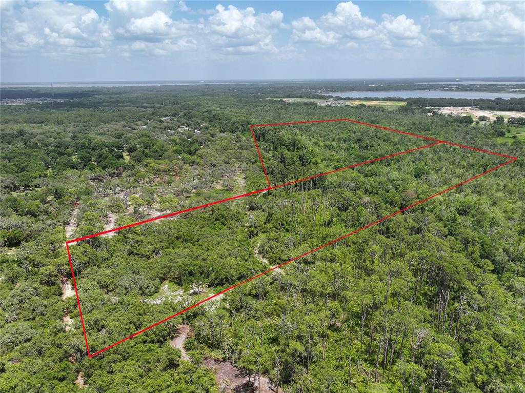 An aerial view shows a large, rectangular plot of land outlined in red amidst forest — 0 TREASURE ISLAND ROAD, LEESBURG, FL
