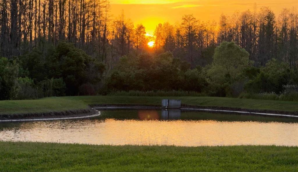 A sunset glows behind a line of trees overlooking a small pond with a drain structure — 19238 WEYMOUTH DRIVE, LAND O LAKES, FL