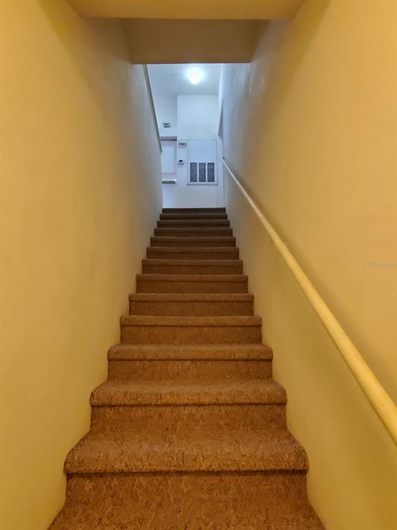 A carpeted staircase with a single handrail leads upward toward a landing with a light — 5903 WILLOW RIDGE DRIVE UNIT 203, ZEPHYRHILLS, FL