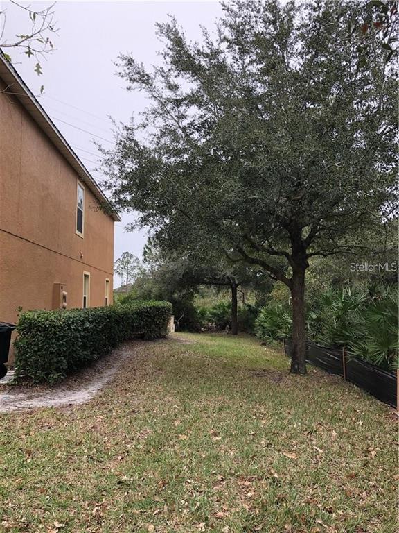 The side yard of a house features a lawn, a hedge, and several large trees — 4330 ARISTOCRAT POINT, OVIEDO, FL