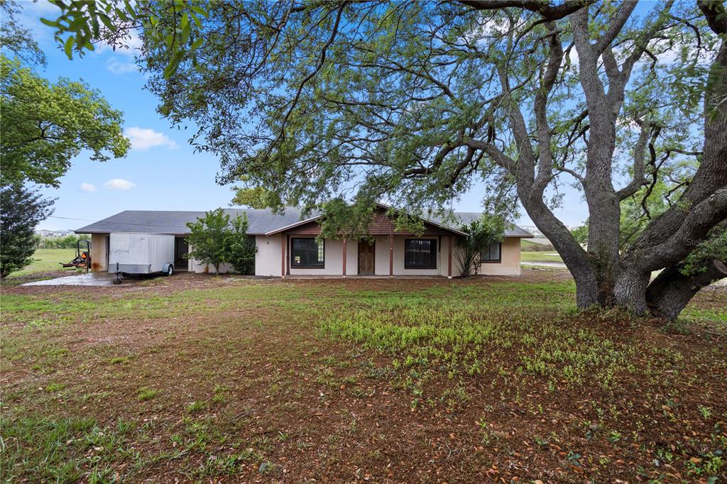 A single-story house with a brown roof and a large, sprawling tree in the yard — 17425 LAKE INGRAM ROAD, WINTER GARDEN, FL