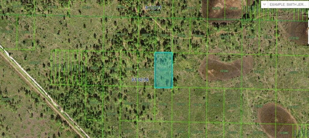 An aerial map view shows a rectangular parcel of land highlighted in blue — RIVER RANCH BOULEVARD, LAKE WALES, FL