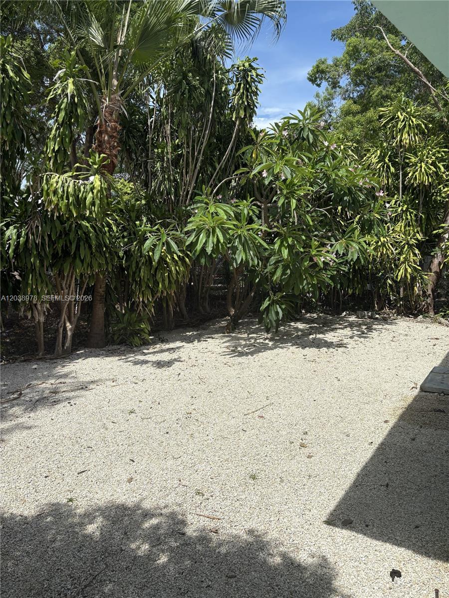 A gravel yard is bordered by a dense collection of tropical trees and shrubs — 8 Jewfish Ave, Key Largo FL 33037, KEY LARGO, FL