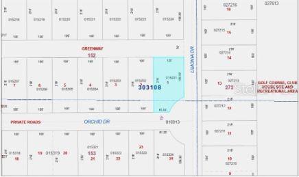 This is a plat map showing a highlighted residential lot located at a street corner — 202 ORCHID DRIVE, INDIAN LAKE ESTATES, FL