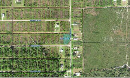 This is an aerial map showing a highlighted vacant lot located at a street intersection — 202 ORCHID DRIVE, INDIAN LAKE ESTATES, FL