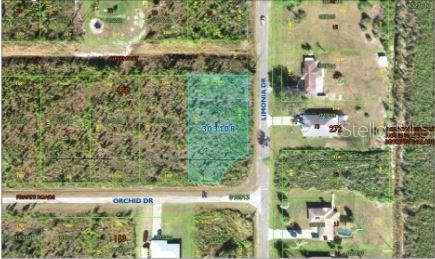 This aerial map shows a vacant, rectangular residential lot highlighted in blue at a street corner — 202 ORCHID DRIVE, INDIAN LAKE ESTATES, FL
