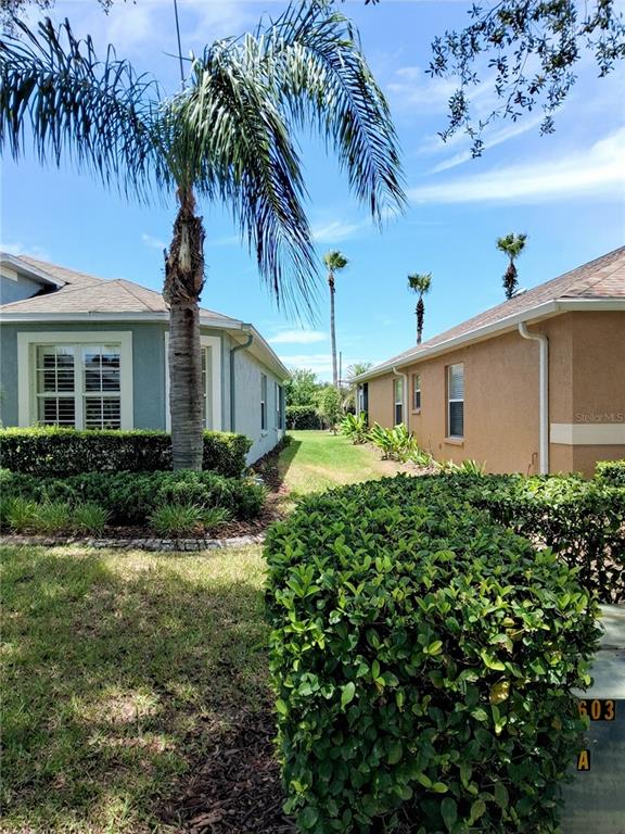 A palm tree stands between two suburban houses with manicured hedges in the foreground — 11731 HERITAGE POINT DRIVE, HUDSON, FL