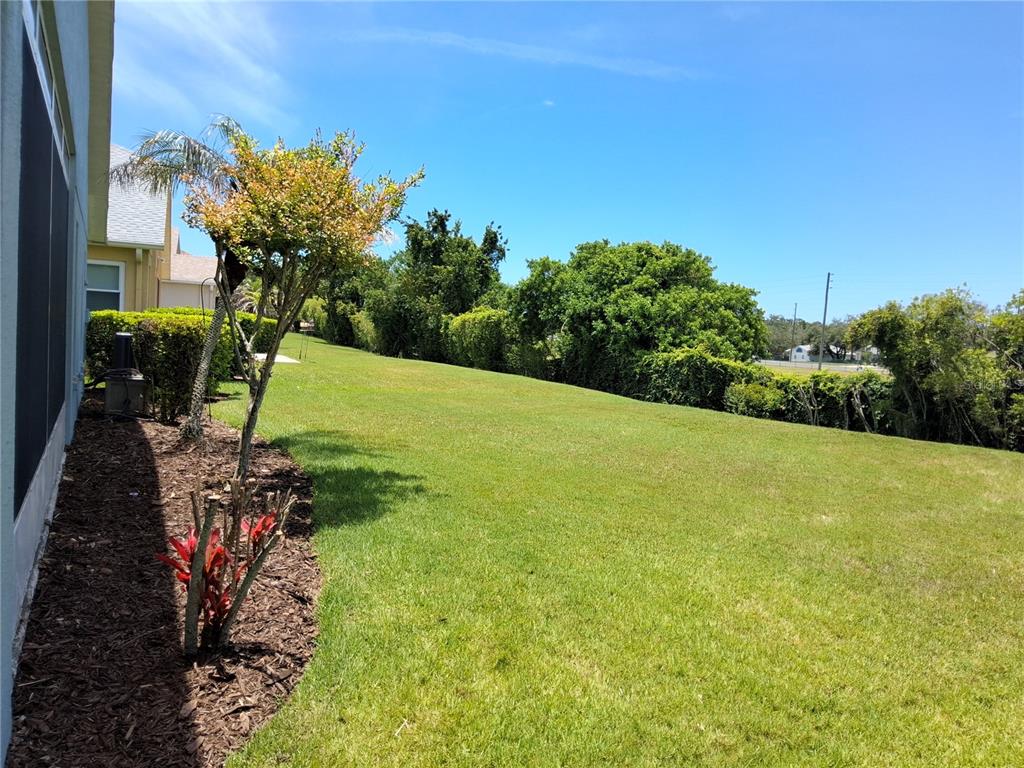A view of a grassy backyard with a landscaped garden bed and a house exterior — 11731 HERITAGE POINT DRIVE, HUDSON, FL