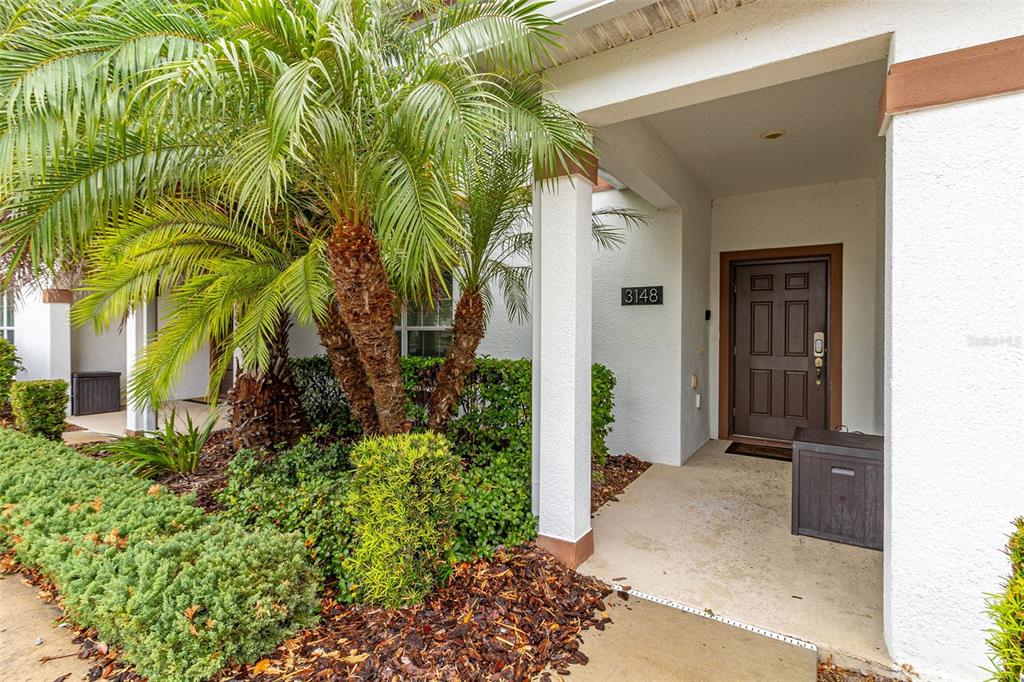 A palm tree stands in front of a house entrance with a brown door — 3148 PEQUOD PLACE, KISSIMMEE, FL
