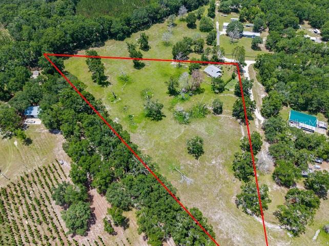 This aerial map shows a large, triangular plot of land with trees and buildings — 289 SW PURITAN PLACE, LAKE CITY, FL