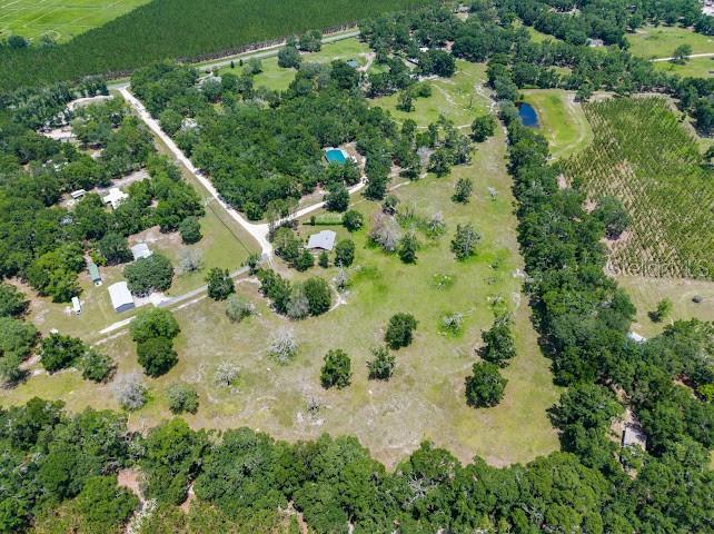 This aerial view shows a rural property with scattered trees, open fields, and several buildings — 289 SW PURITAN PLACE, LAKE CITY, FL