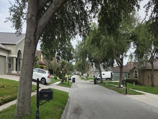 A residential street features houses, parked vehicles, mature trees, and a mailbox in the foreground — 4528 RIVER CLOSE BOULEVARD, VALRICO, FL