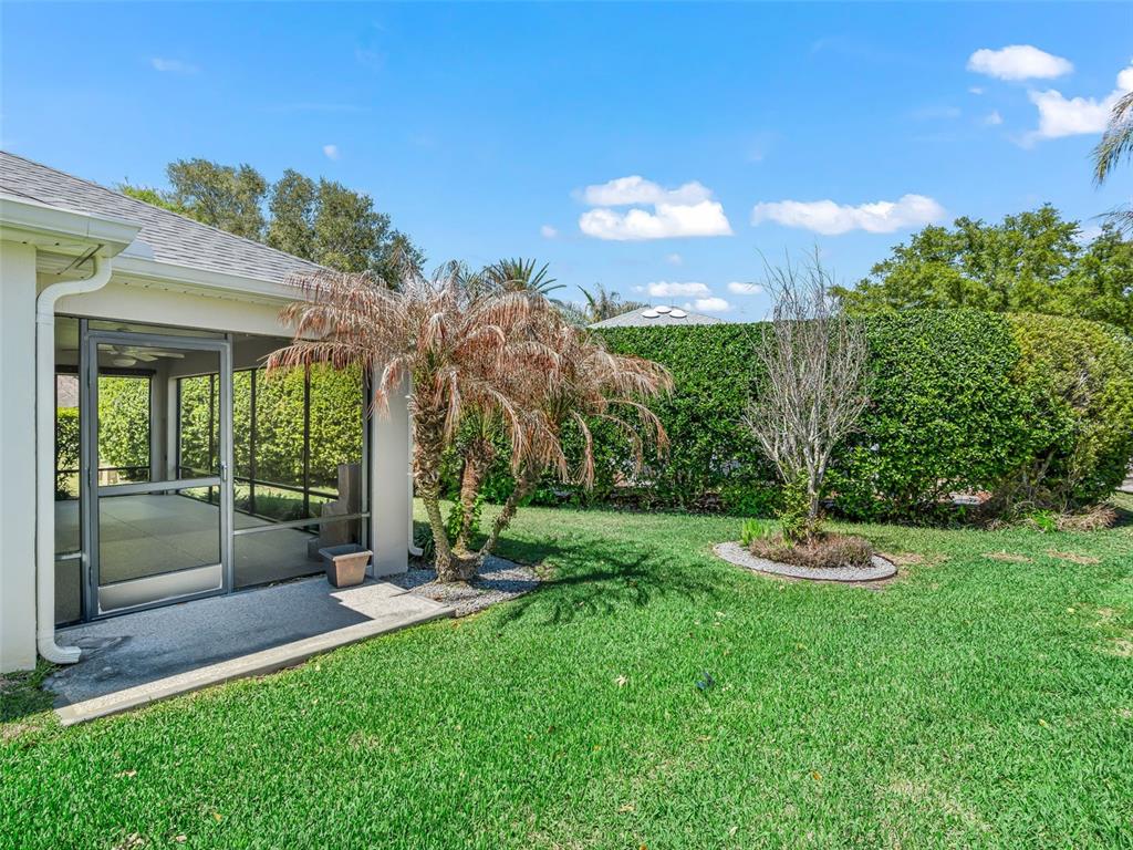 A backyard features a screened-in patio, a small palm tree, and a tall privacy hedge — 1569 OLAR COURT, THE VILLAGES, FL