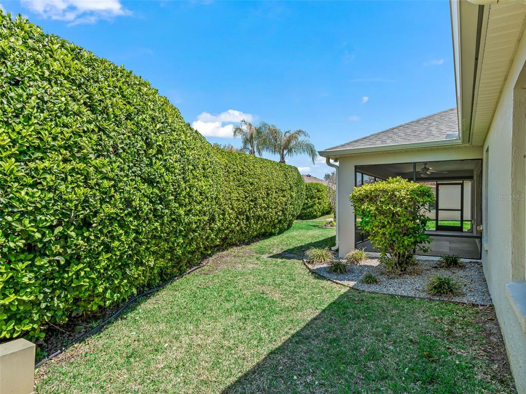 A backyard features a tall green hedge, a grassy lawn, and a screened-in patio area — 1569 OLAR COURT, THE VILLAGES, FL