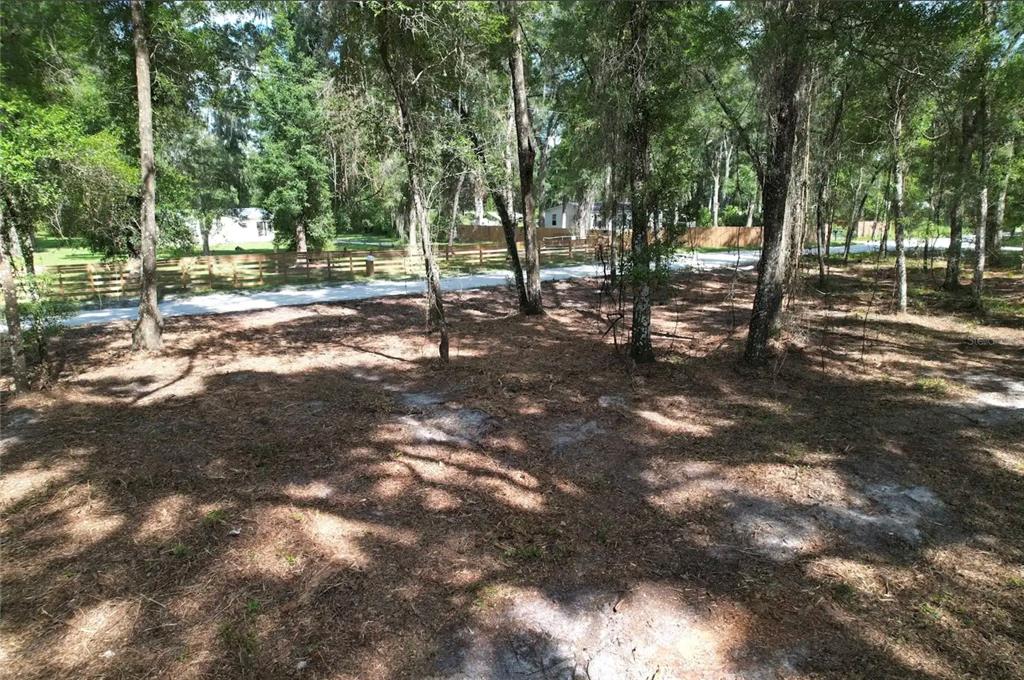 A wooded lot with sandy ground, scattered trees, and a wooden fence in the background — 17792 SE 30TH AVENUE, SUMMERFIELD, FL