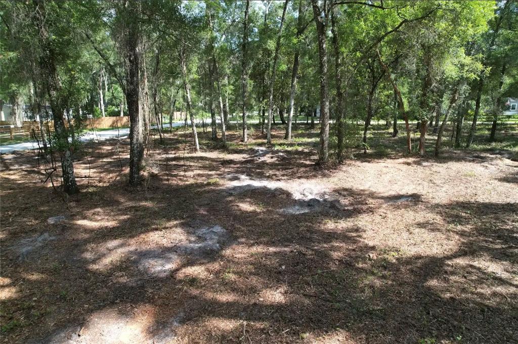 A wooded lot with scattered patches of sand and trees under a sunny sky — 17792 SE 30TH AVENUE, SUMMERFIELD, FL