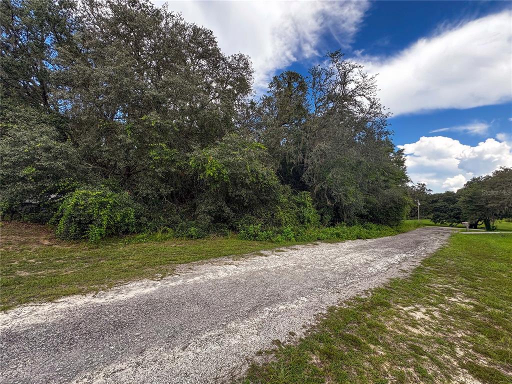 A gravel road leads toward a dense cluster of trees under a partly cloudy sky — TBD SW 134 TER, DUNNELLON, FL