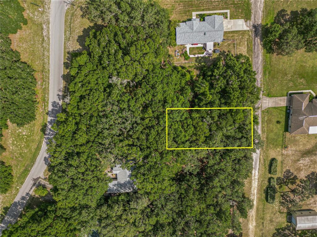 An aerial view shows a rectangular lot outlined in yellow within a wooded residential area — TBD SW 134 TER, DUNNELLON, FL