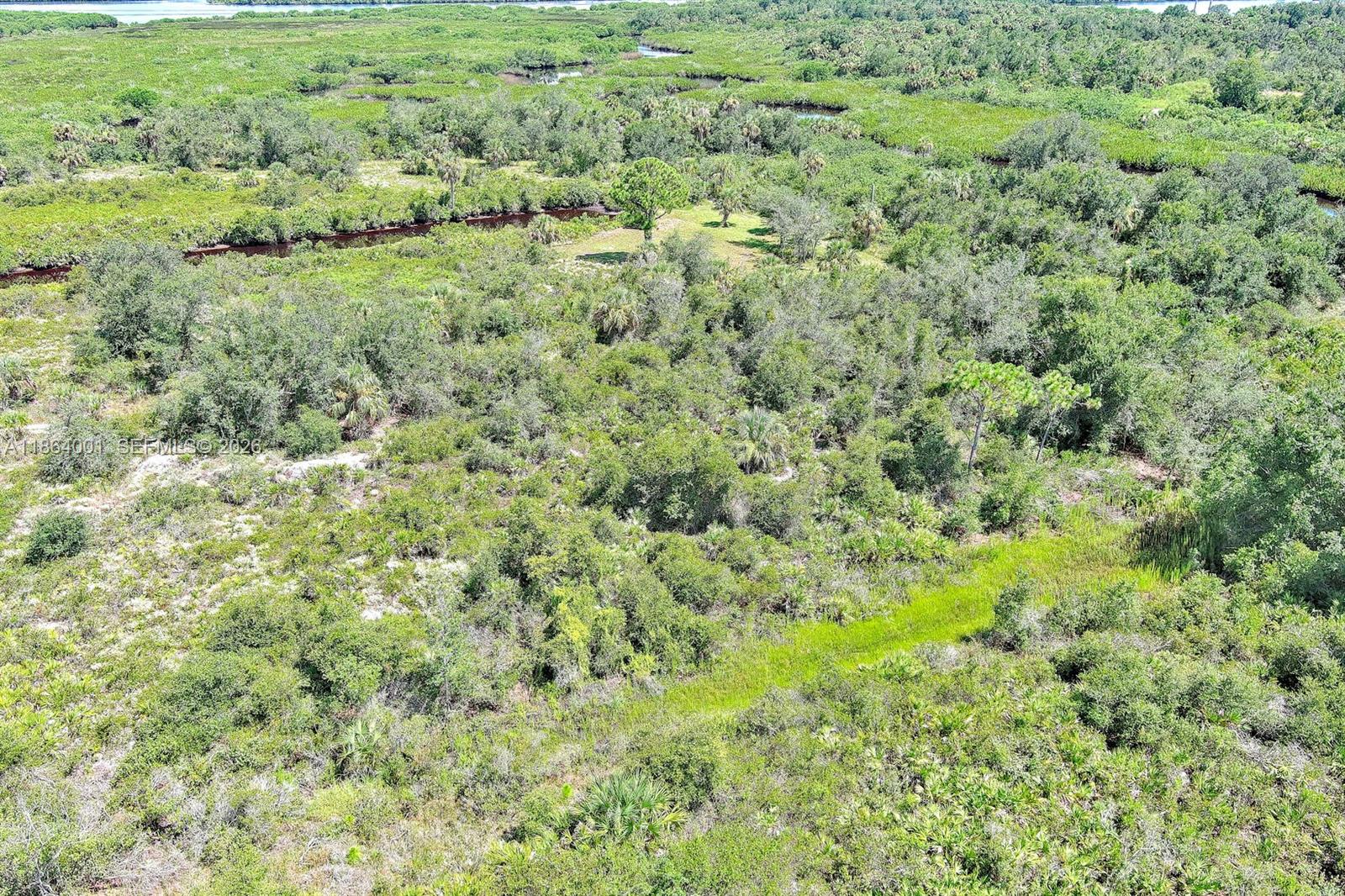 An aerial view shows a dense, green landscape with a winding creek and scattered trees — 1353 Wallaroo Ct, Punta Gorda FL 33983, PUNTA GORDA, FL