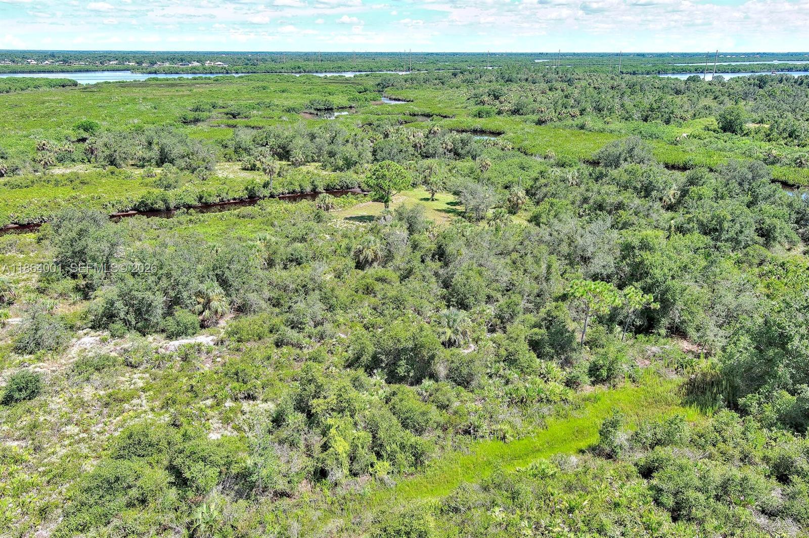 An aerial view shows a vast, undeveloped landscape with dense vegetation, trees, and a small creek — 1353 Wallaroo Ct, Punta Gorda FL 33983, PUNTA GORDA, FL