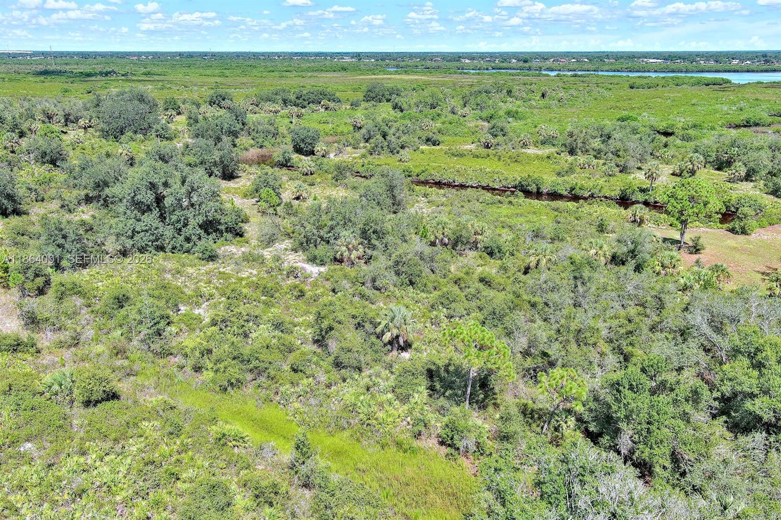 An aerial view shows a vast, undeveloped landscape with dense vegetation and a small stream — 1353 Wallaroo Ct, Punta Gorda FL 33983, PUNTA GORDA, FL
