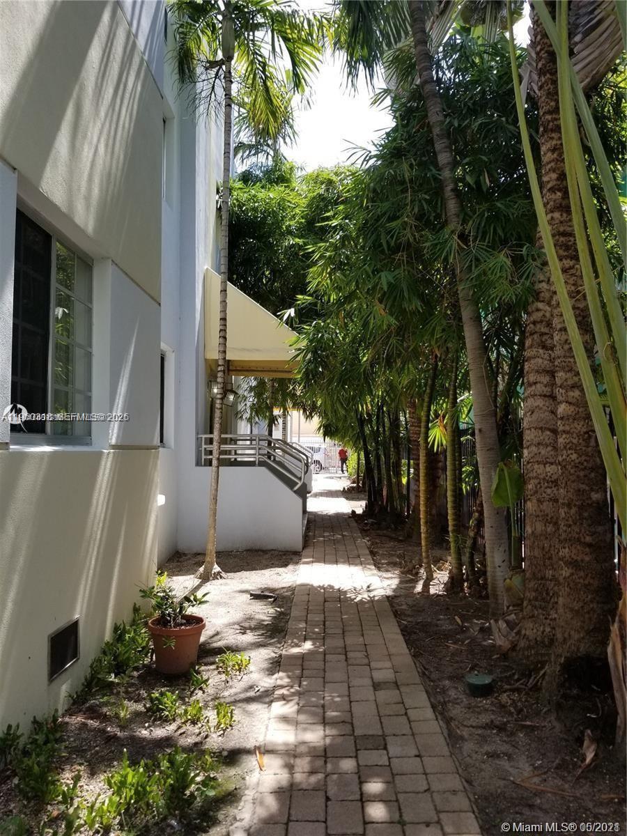 A paved walkway leads between a white building and a row of tall palm trees — 1045 Meridian Ave # 4, Miami Beach FL 33139, MIAMI BEACH, FL