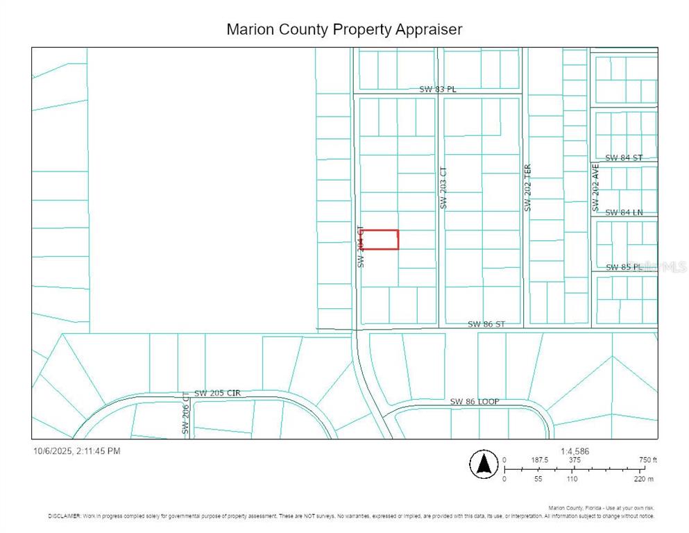 This is a property tax map showing parcel boundaries and street names in Marion County — 0 SW 204TH COURT, DUNNELLON, FL