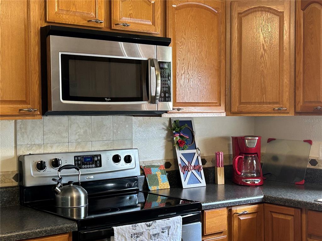 1709 E SCHWARTZ BOULEVARD, LADY LAKE, FL — photo 3 of 16