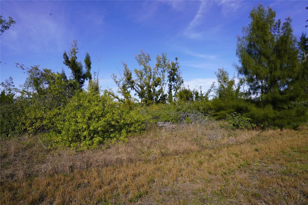 A view of a grassy, undeveloped lot with scattered trees and shrubs under a blue sky — 10565 ABELLO ROAD, PORT CHARLOTTE, FL