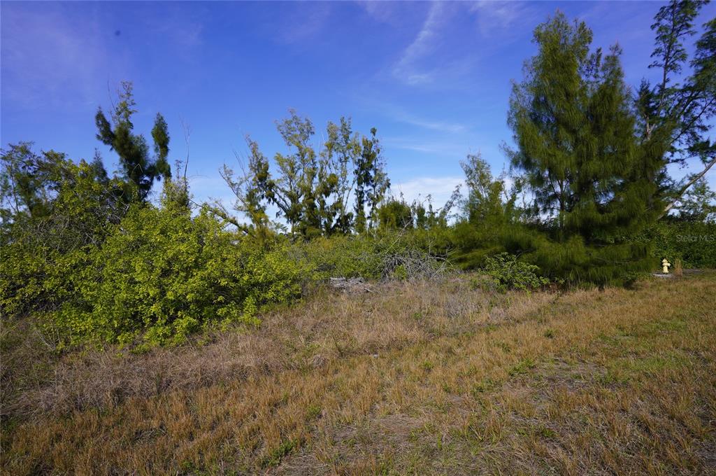 A vacant, grassy lot features scattered shrubs and several tall trees under a blue sky — 10565 ABELLO ROAD, PORT CHARLOTTE, FL