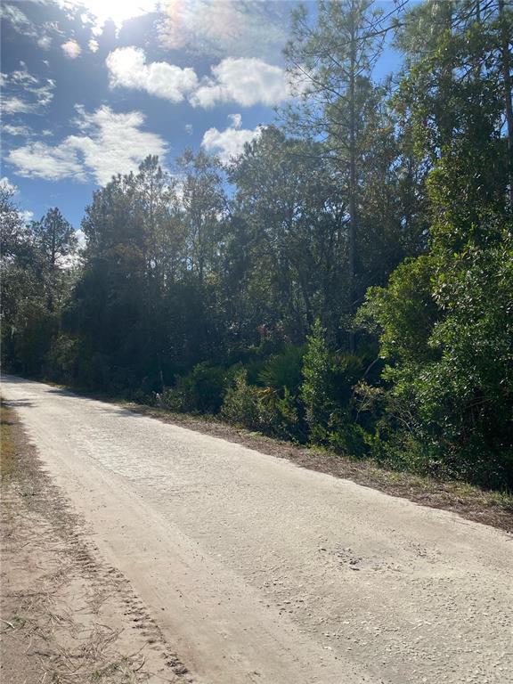 A dirt road runs alongside a dense, wooded area under a bright, sunny sky — 862 LAMAR STREET E, LEHIGH ACRES, FL