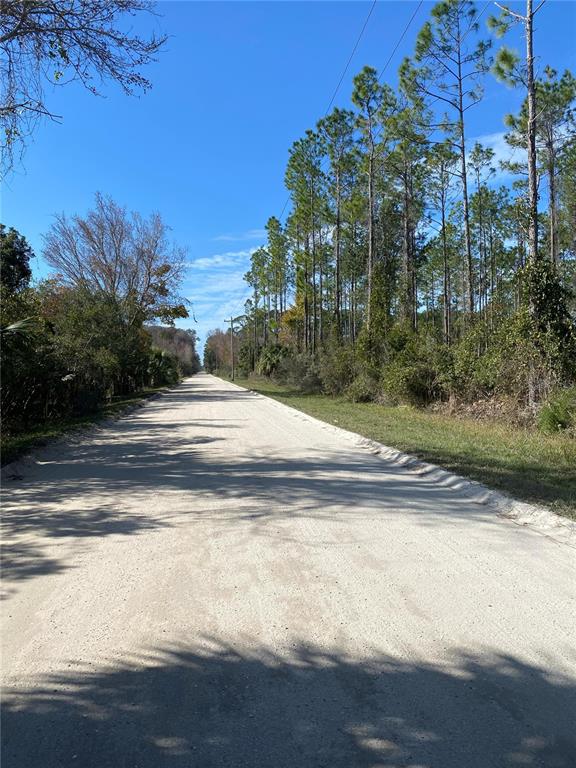 A dirt road stretches into the distance, flanked by tall pine trees and natural vegetation — 862 LAMAR STREET E, LEHIGH ACRES, FL