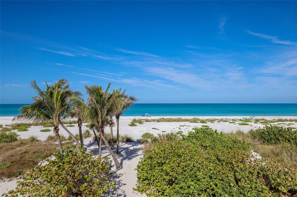 A sandy beach with palm trees and dunes under a clear blue sky — 420 GULF BOULEVARD UNIT 9, BOCA GRANDE, FL