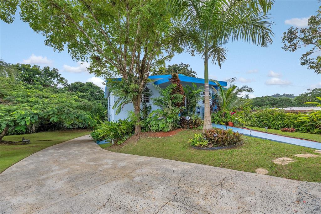 A light blue house sits at the end of a concrete driveway surrounded by trees — 110 FREIRE CALLE RUBI, CIDRA, PR