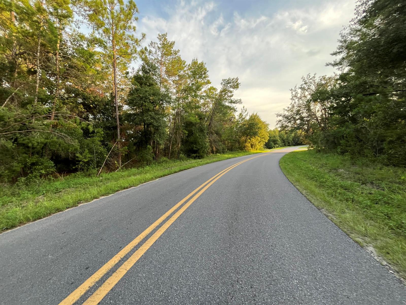 A paved two-lane road curves through a wooded area under a cloudy sky — Tbd Twin Lakes Road, FL 32148, FL