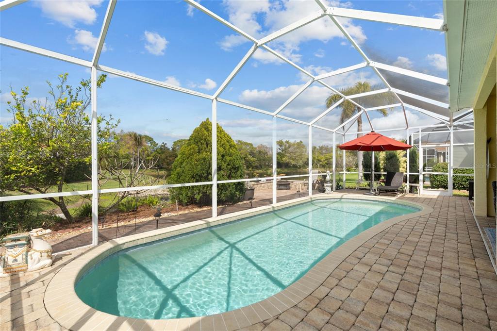 A screened-in swimming pool with a paver deck overlooks a grassy yard and pond — 4805 50TH AVENUE W, BRADENTON, FL