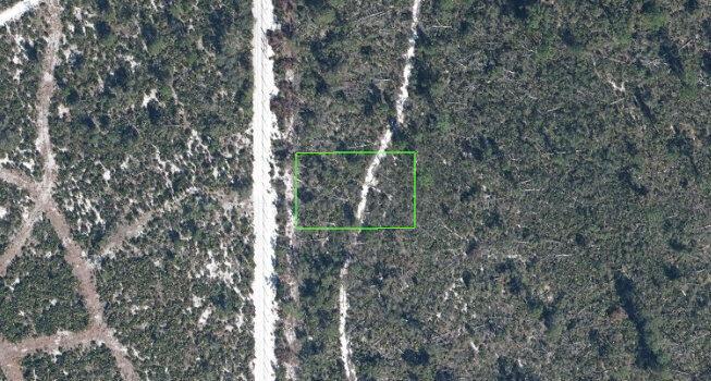 3285 Teakwood Drive, Sebring FL 33875