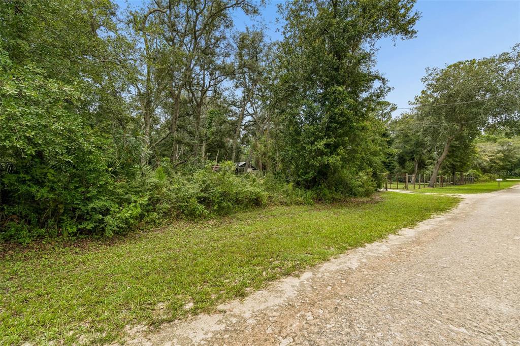 A dirt road runs alongside a grassy lot filled with dense trees and brush — 35314 GOETHALS STREET, WEBSTER, FL