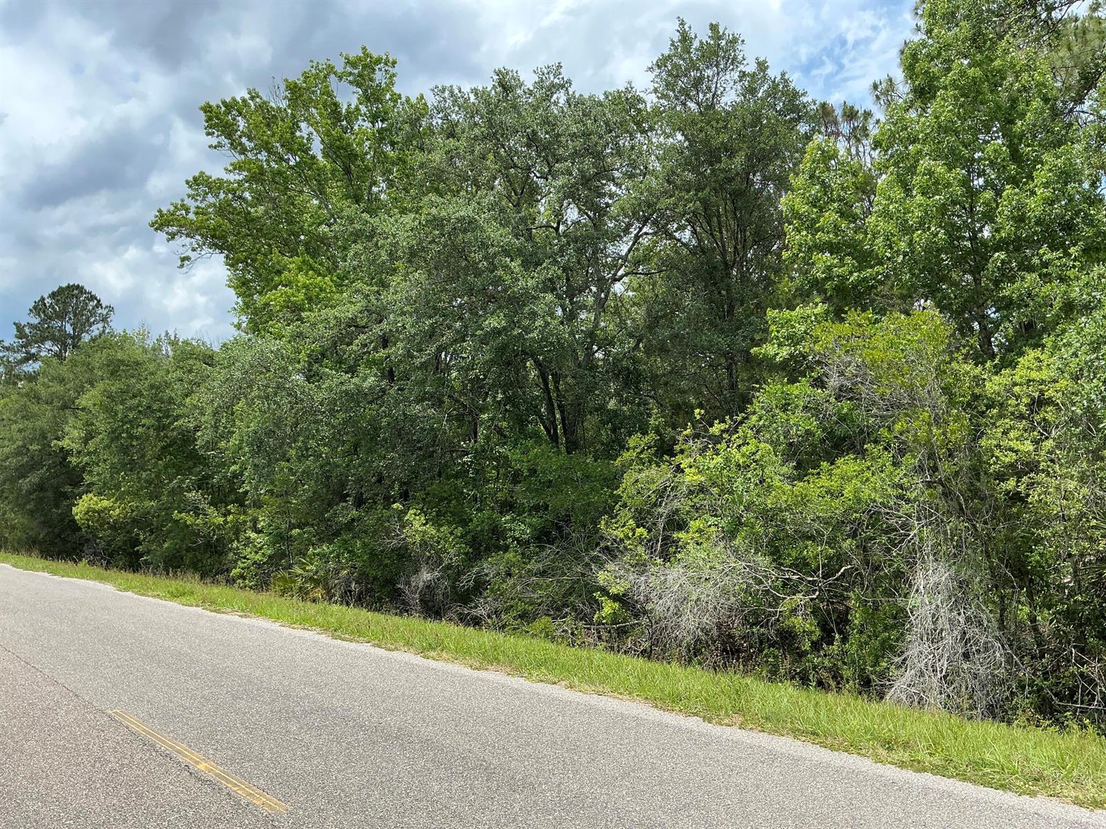 A paved road runs alongside a dense line of trees and green vegetation — 5020 Stephen Street, FL 32145, FL