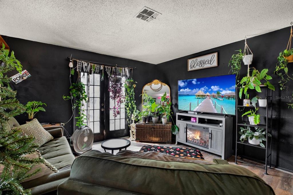 A living room features black walls, a television, a fireplace console, and numerous indoor plants — 11238 HOLBROOK STREET, SPRING HILL, FL