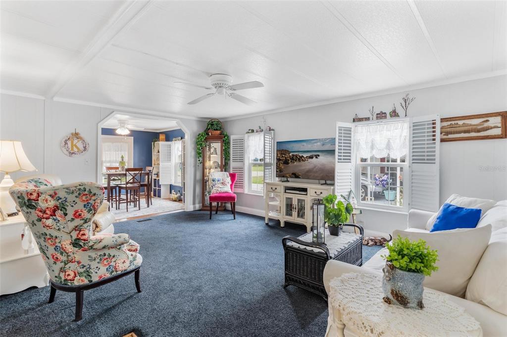 2470 KAREN DRIVE, MOUNT DORA, FL — photo 3 of 30