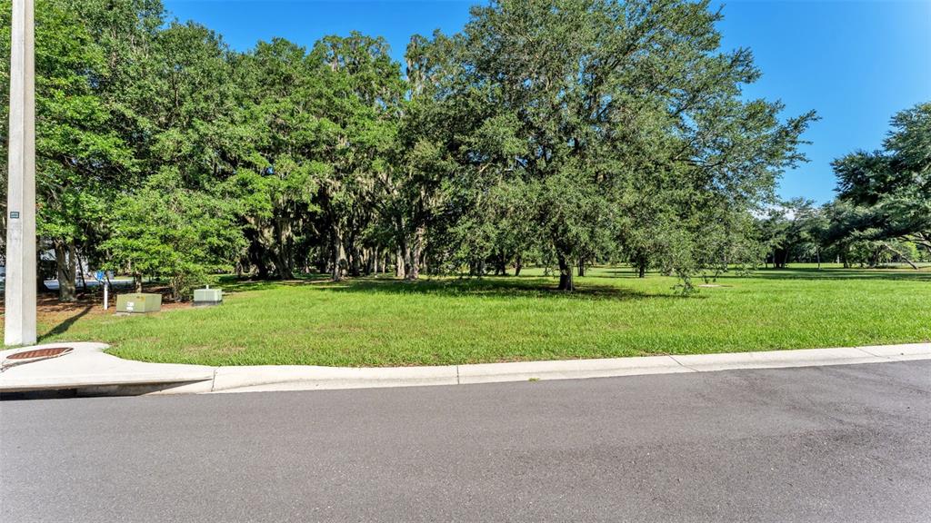 A grassy, tree-lined vacant lot sits behind a paved road and concrete curb — 6923 ORIANNA OAKS DRIVE, PLANT CITY, FL
