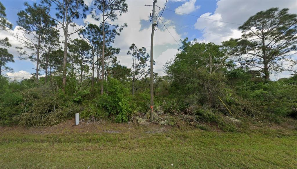 A utility pole stands in front of a wooded, undeveloped lot with dense vegetation — 10234 N CENTER AVENUE, OKEECHOBEE, FL
