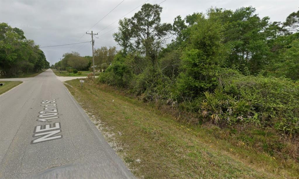 A paved road runs alongside a vacant, wooded lot with dense vegetation and trees — 10234 N CENTER AVENUE, OKEECHOBEE, FL