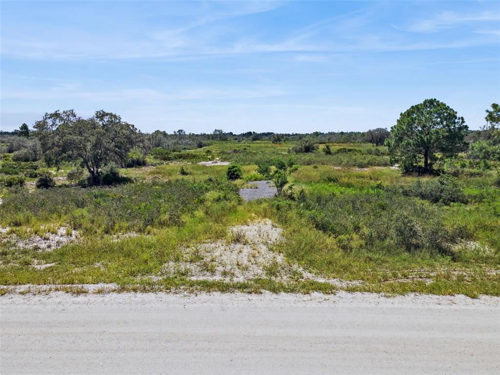 A view of a vacant, grassy lot with scattered trees and a dirt road — 2253 W SHULA ROAD, AVON PARK, FL